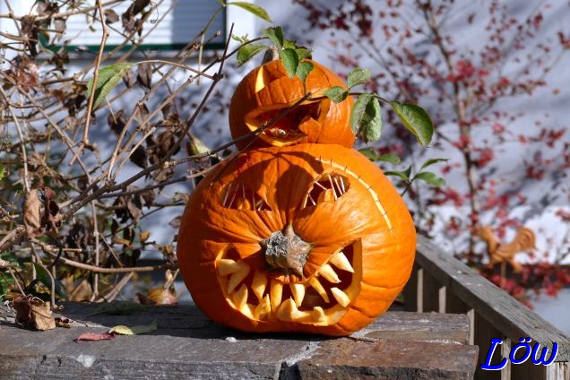 1.11.2024 - Halloween Ende